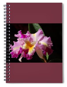 Nancy's Novelty Photos in Pixels Products spiral notebook