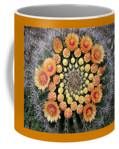 Cactus Mandala mug frm Nancy's Novelty Photos on Pixels Products