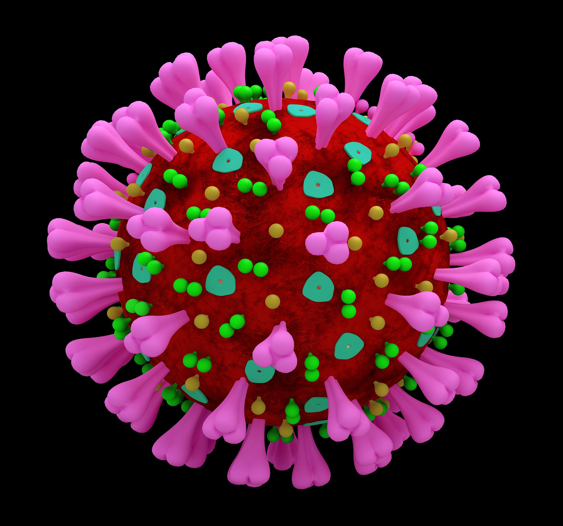 Image of a COVID-19 coronavirus new mutation